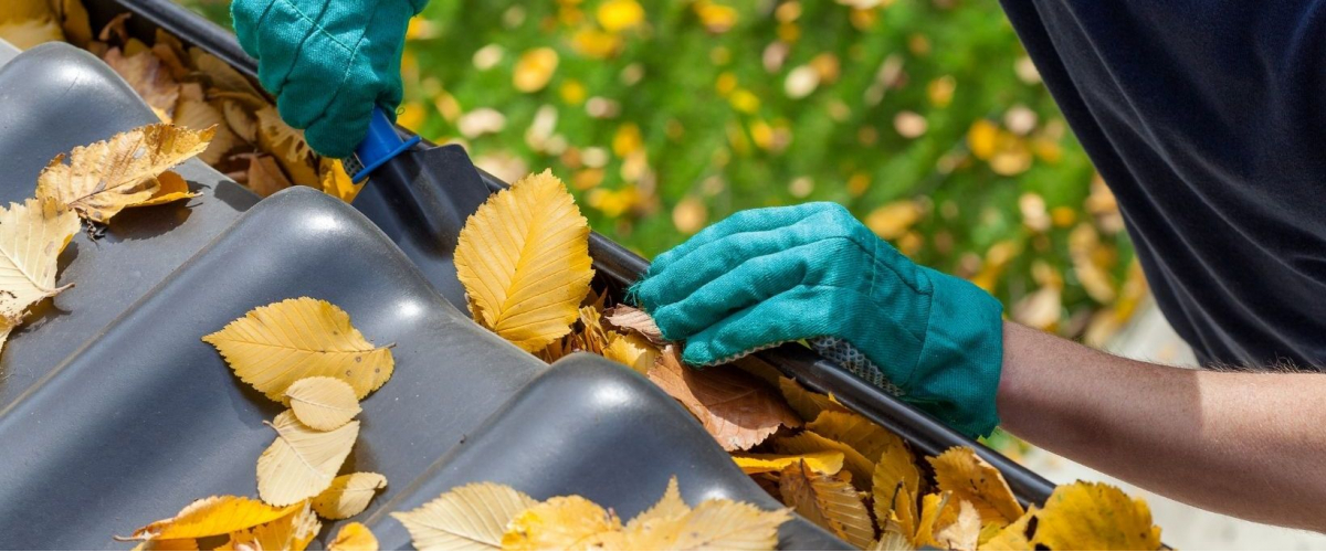 All Gutter Cleaning San Diego banner image