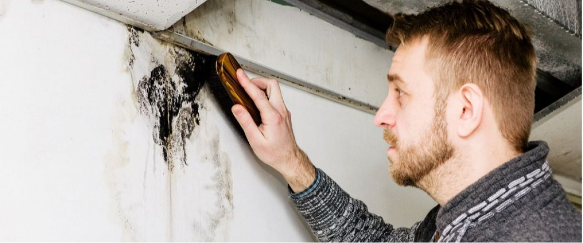 Mold Experts of San Diego banner image