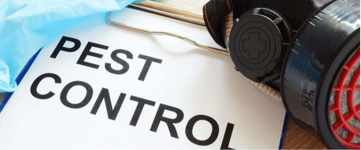 New Smyrna Beach Pest Control Solutions banner image
