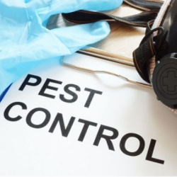 Anderson Pest Control Solutions logo